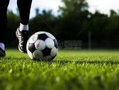 華盛頓堅定,支持隊友,毫無私心與,皇冠体育会员登录入口,皇冠体育官网,皇冠体育